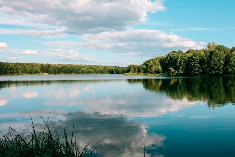 Неймовірна природа по всьому селу: ліси та озера